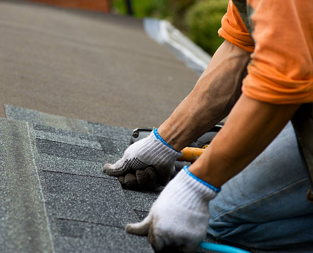 Best New Roof Installation  in Cambridge, WI