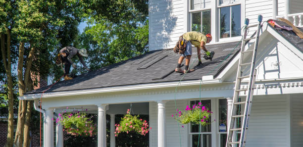 Best Metal Roofing Contractor  in Cambridge, WI