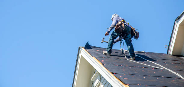 Best Gutter Installation and Roofing  in Cambridge, WI